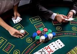 Antarmuka taruhan bola voli di platform tuan kuda dengan pertandingan dan odds terkini